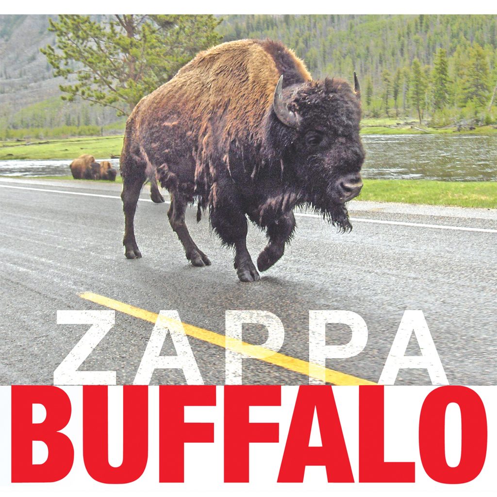 Buffalo